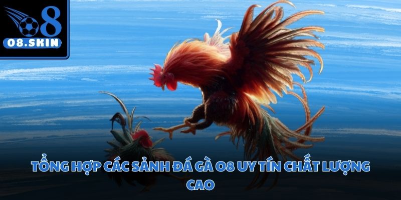 Không gian sảnh cược hiện đại giúp người dùng dễ dàng thao tác