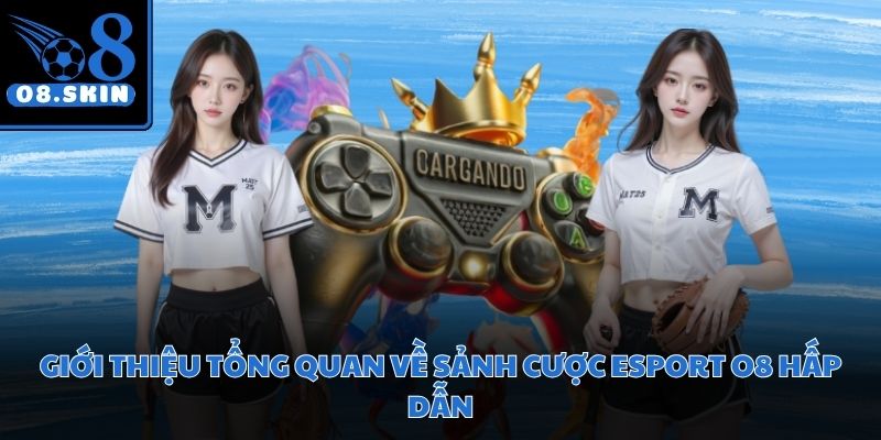 Những trận tranh tài rực lửa giữa đội tuyển hàng đầu thế giới diễn ra liên tục