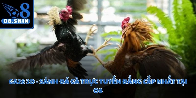 GA28 3D - Sảnh Đá Gà Trực Tuyến Đẳng Cấp Nhất Tại O8