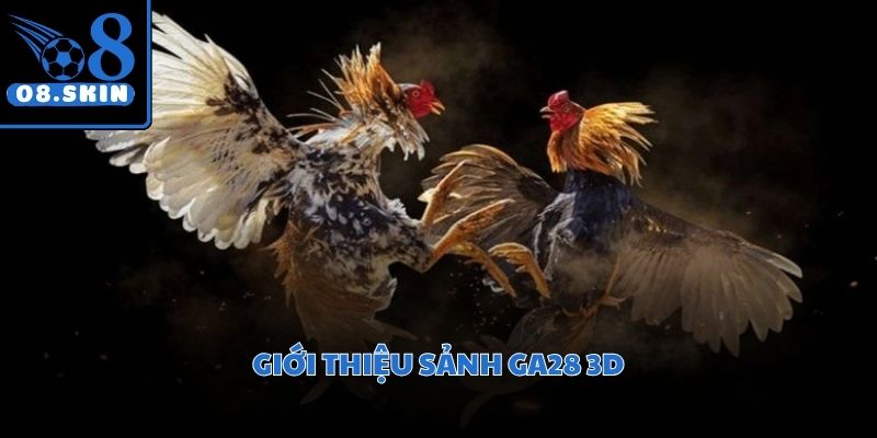 Không gian cá cược chuyên nghiệp quy tụ những trận đấu gà đỉnh cao thế giới.