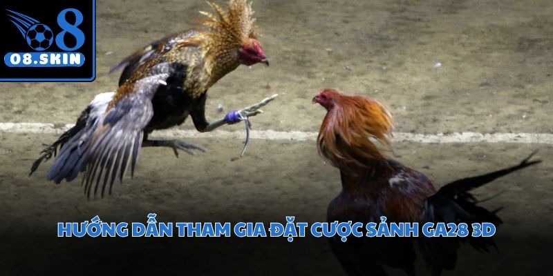 Thực hiện các bước đơn giản để bắt đầu chinh phục phần quà giá trị