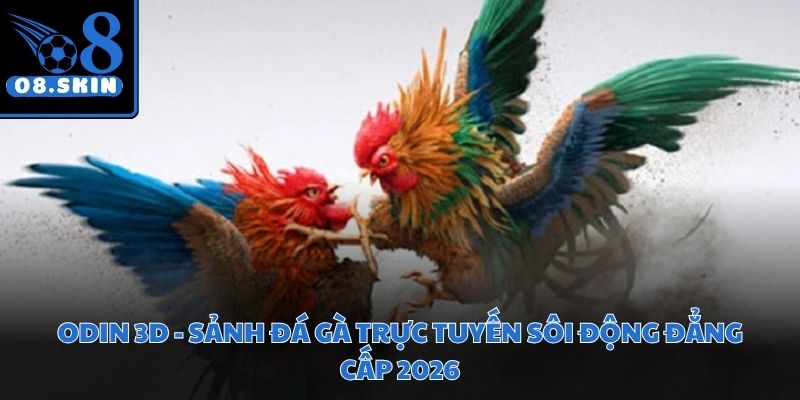 Odin 3D - Sảnh Đá Gà Trực Tuyến Sôi Động Đẳng Cấp 2026