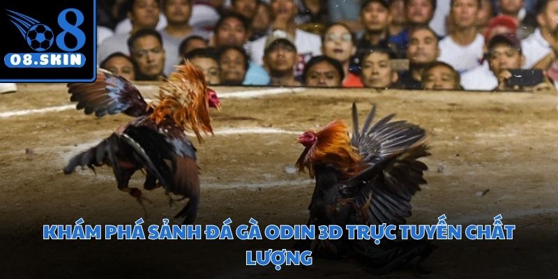 Không gian cá cược chuyên nghiệp quy tụ những trận đấu đỉnh cao tại Châu Á