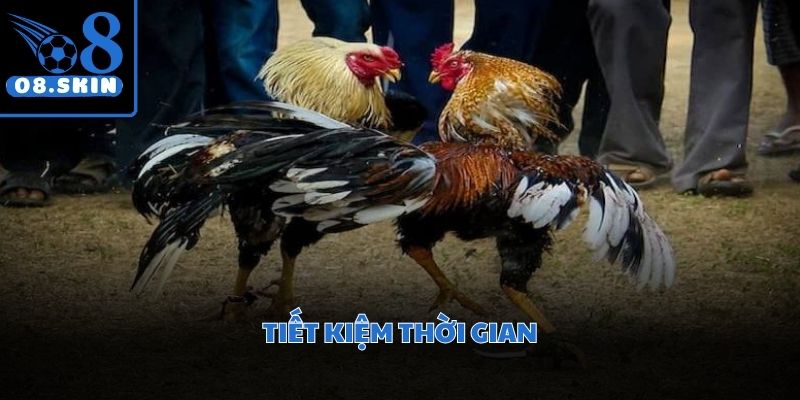 Giao diện trực quan hỗ trợ khách hàng theo dõi diễn biến trận đấu dễ dàng