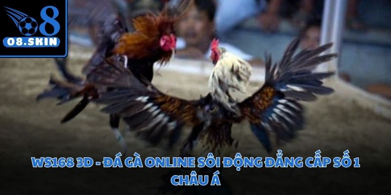 WS168 3D - Đá Gà Online Sôi Động Đẳng Cấp Số 1 Châu Á