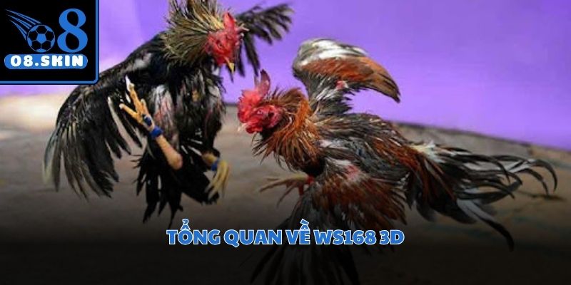 Sân chơi quy tụ giải đấu kịch tính được truyền tải với chất lượng siêu nét